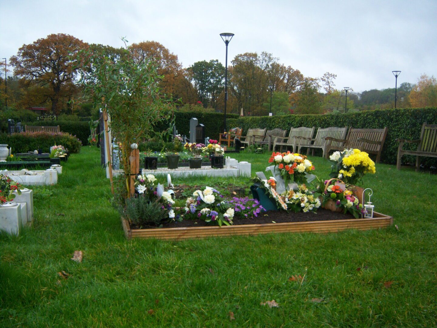 BB Funerals for LowCost Funerals