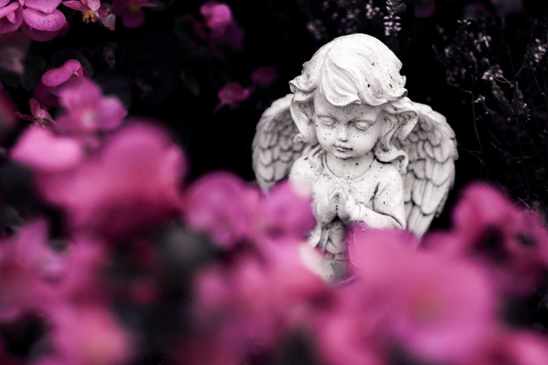 Funeral Service Types, CostSaving Tips, and Planning Guide