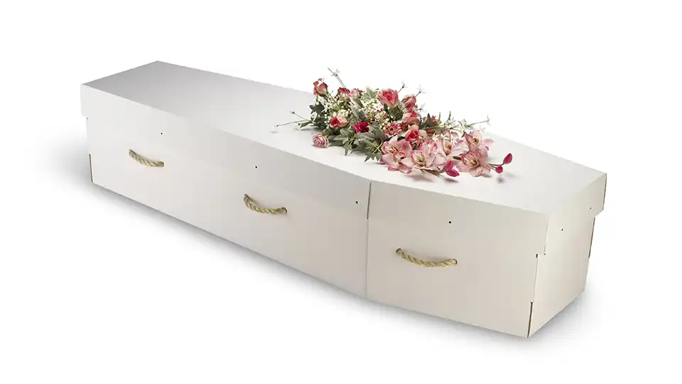 Cardboard coffin