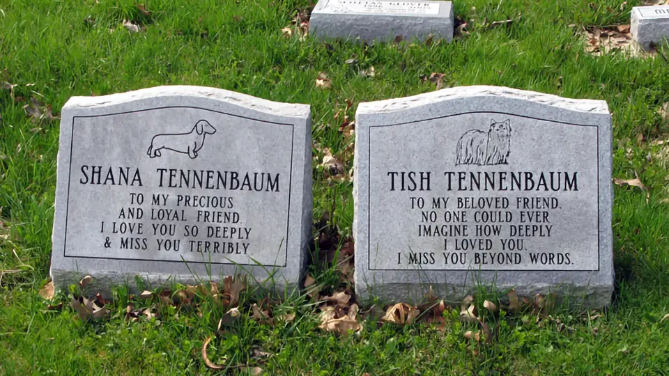 Two memorial stones for dogs