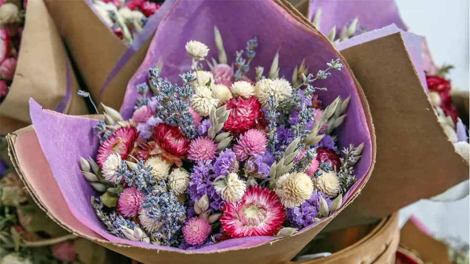 Colourful dried flowers