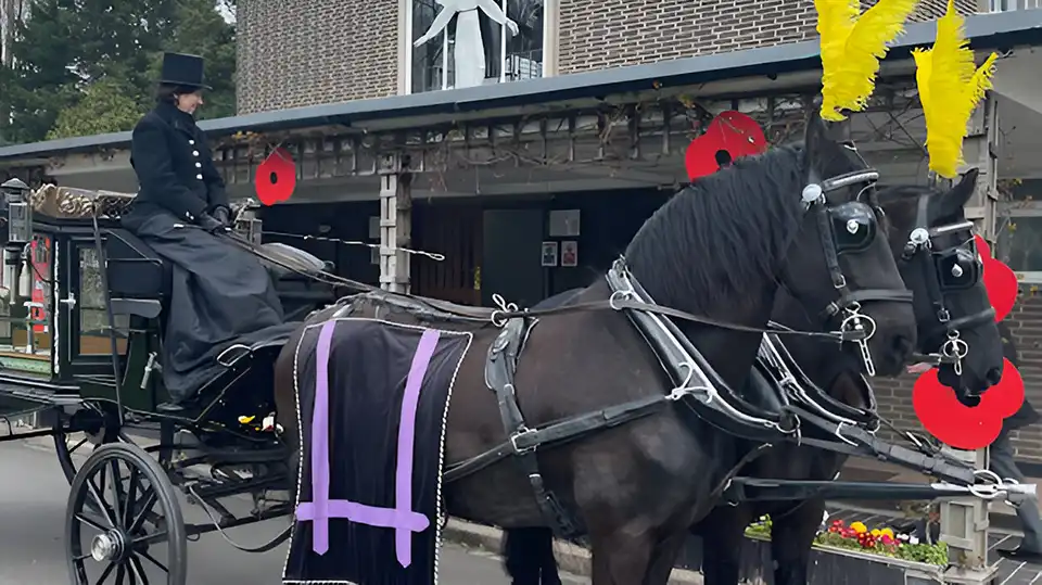 Horse drawn hearse