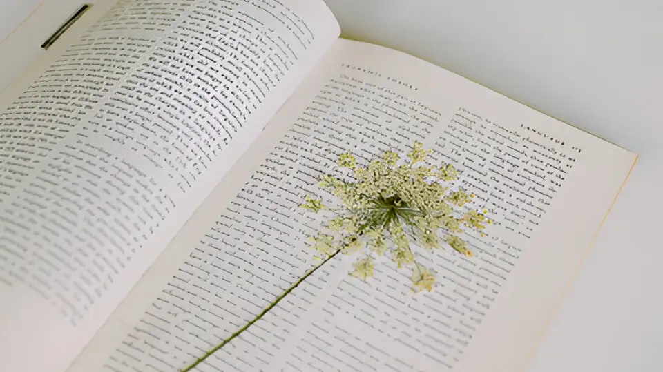 Pressed flower in book