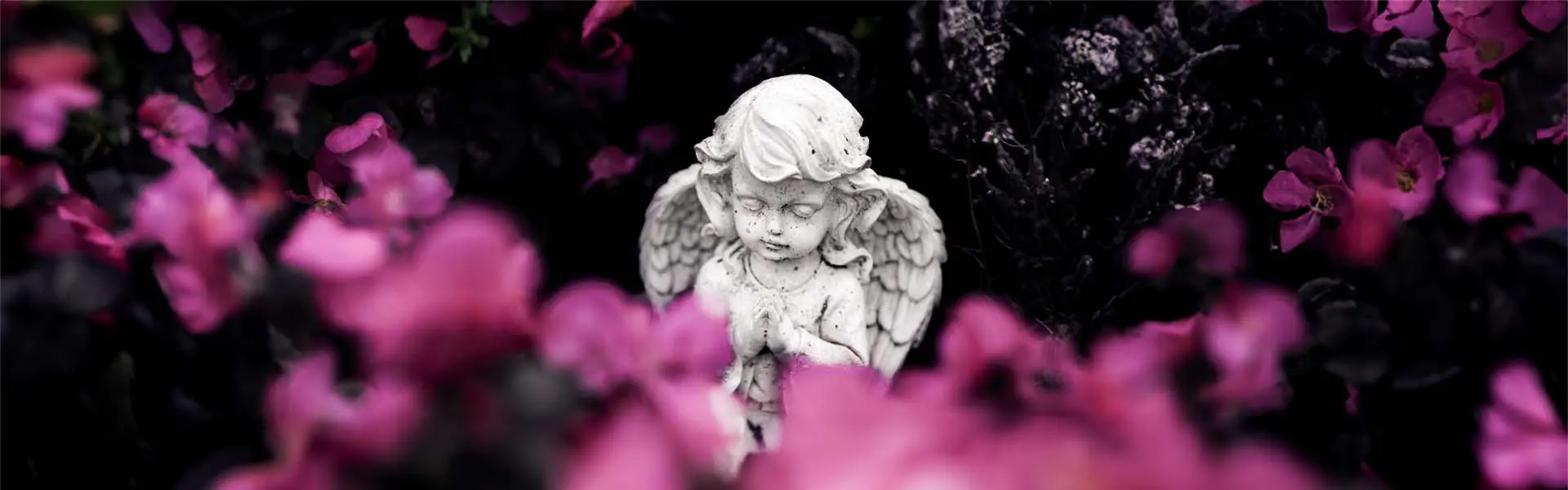 Stone cherub in flowers